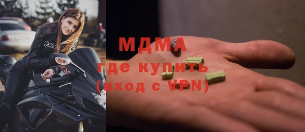 индика Алексин
