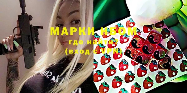 индика Алексин