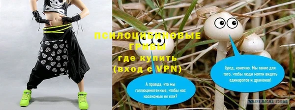 apvp Алексеевка