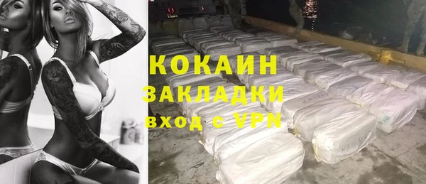 индика Алексин