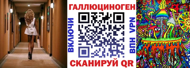 ссылка на мегу зеркало  Щигры  Галлюциногенные грибы Psilocybine cubensis 