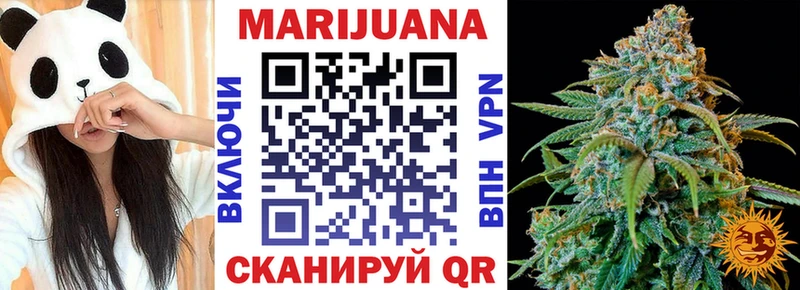 как найти наркотики  Щигры  Каннабис индика 
